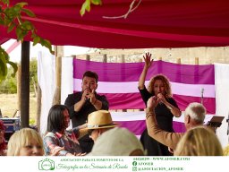 Festival Mar de Tethys 2026 - Bodega Vetas